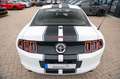 Ford Mustang 3,7 V6 Premium CERVINI TOP Blanc - thumbnail 20