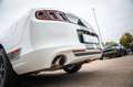 Ford Mustang 3,7 V6 Premium CERVINI TOP Blanc - thumbnail 19
