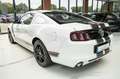 Ford Mustang 3,7 V6 Premium CERVINI TOP Blanc - thumbnail 4