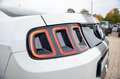 Ford Mustang 3,7 V6 Premium CERVINI TOP Blanc - thumbnail 18