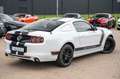 Ford Mustang 3,7 V6 Premium CERVINI TOP Blanc - thumbnail 14