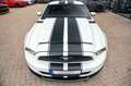 Ford Mustang 3,7 V6 Premium CERVINI TOP Blanc - thumbnail 11