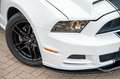 Ford Mustang 3,7 V6 Premium CERVINI TOP Blanc - thumbnail 17