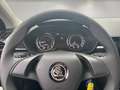 Skoda Fabia Active 1.0 MPI LED+KLIMA+SITZHZ+EPH+++ Wit - thumbnail 12
