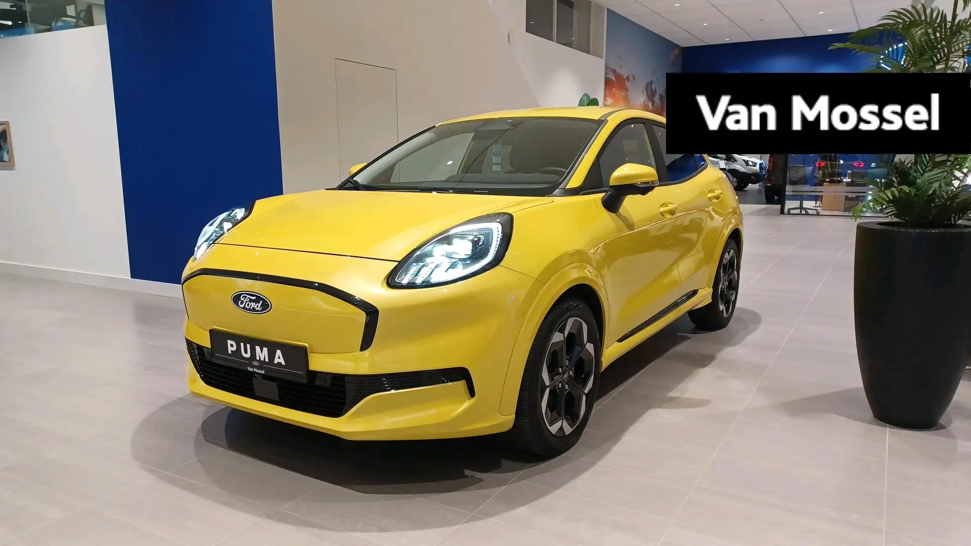 ford puma