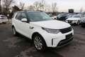 Land Rover Discovery 5 3,0 TDV6 HSE Aut. *MOTORSCHADEN* Weiß - thumbnail 11