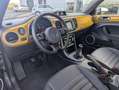 Volkswagen Beetle Beetle Cabrio Dune 1.4 TSI BMT 110 kW (150 ch) 6 vitesses manuel Grijs - thumbnail 4