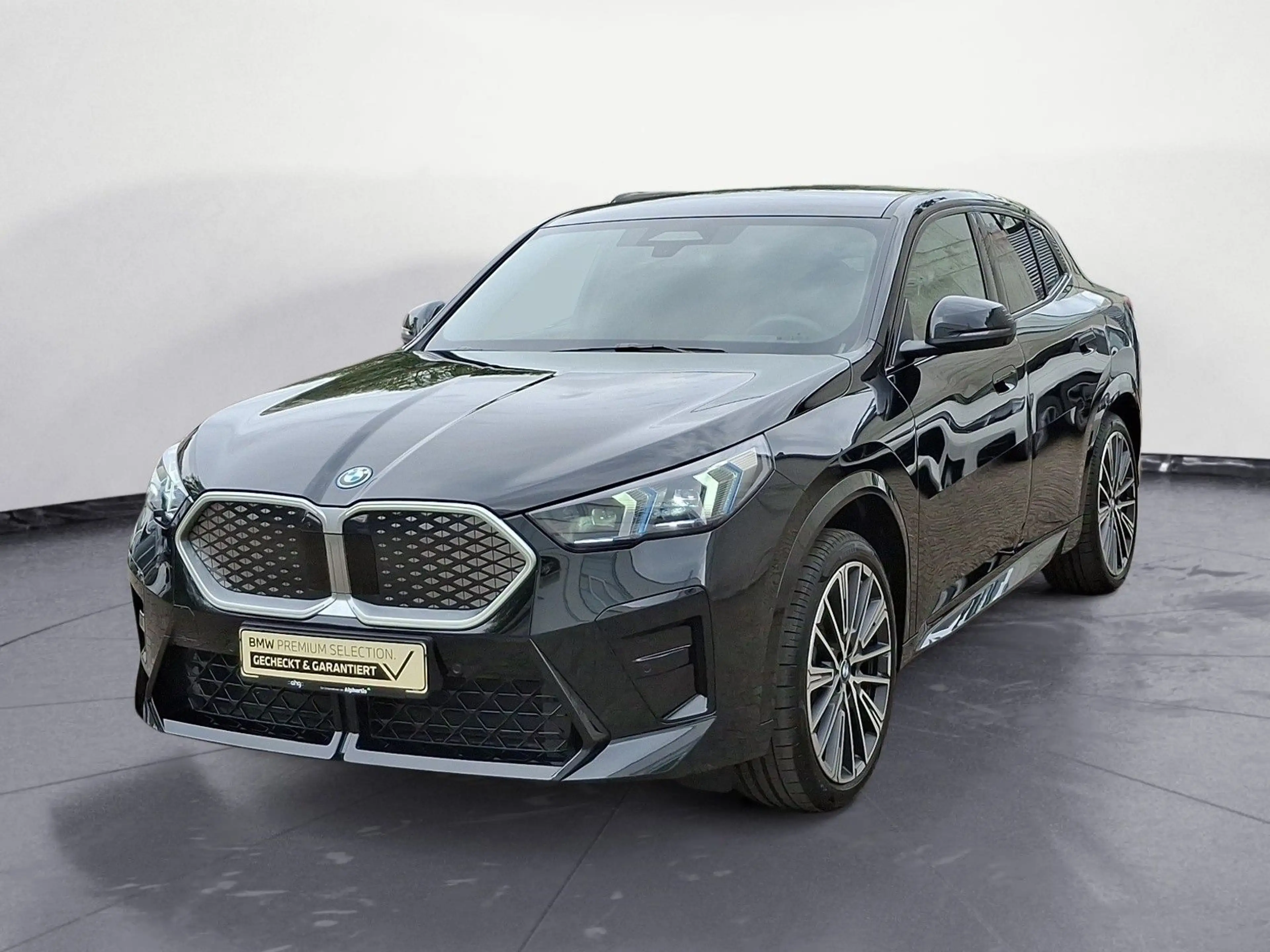 BMW iX2 ix2 xDrive30 M Sportpaket Head-Up AHK Sportsitze — photo 2