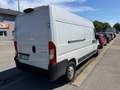 Citroen Jumper Jumper 35  L2s BlueHDi 140 S Weiß - thumbnail 3