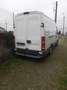Iveco Daily IVECO DAILY 35S15 TETTO ALTO PASSO MEDIO Weiß - thumbnail 2