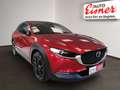 Mazda CX-30 G 140  Homura AT Bestpreis Rot - thumbnail 14