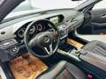 Mercedes-Benz E 350 BlueTEC 4Matic 7G-TRONIC Avantgarde Silber - thumbnail 12