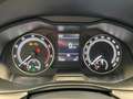 Skoda Scala 1.0 TGI G-TEC Drive 125 LED RFK Azul - thumbnail 14