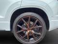 CUPRA Ateca 2.0 4Drive*Navi*Panorama*AHK*elek.Heckkl.* Weiß - thumbnail 11
