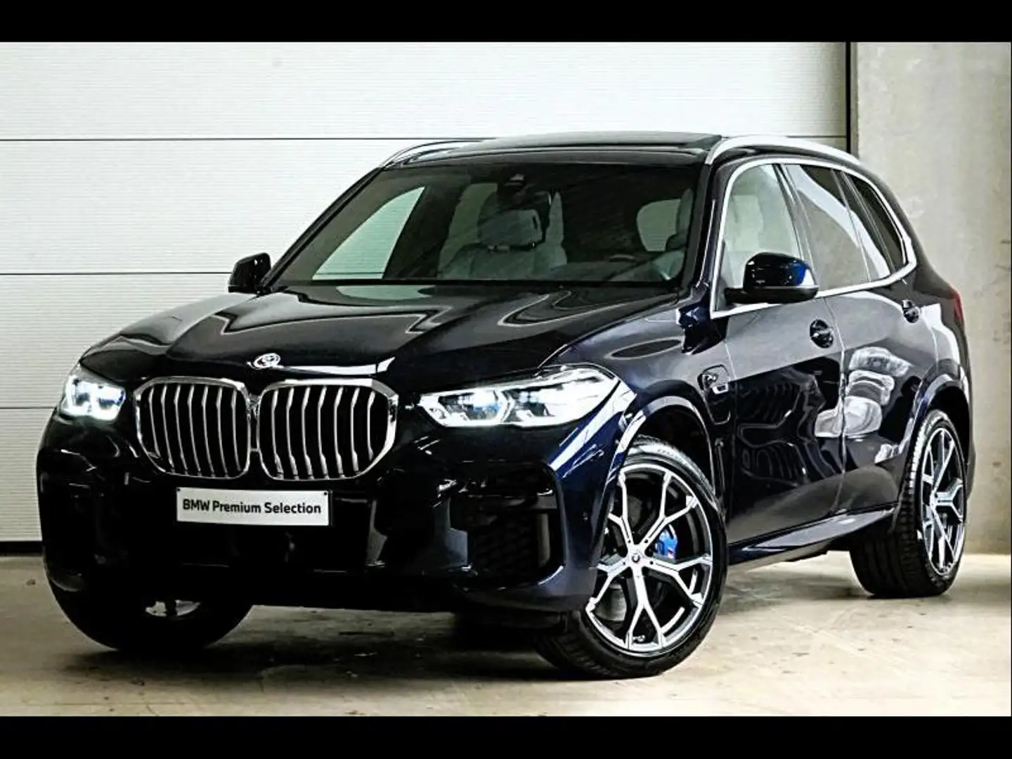BMW X5 M SPORT - INDIVIDUAL - PANODAK Azul - 1