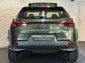 Lexus Sonstige 250h LUXURY LED#ACC#VIRTC#HUD#SPUR#SD#LH#NAV Grün - thumbnail 6