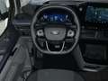 Ford Tourneo Custom Active 320 L2 2.0 l EcoBlue. 8-Gang-Autom.. Fronta Gris - thumbnail 13