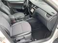 Skoda Octavia Combi Style 1.5 TSI Navi,Kamera,Klima,SHZ Weiß - thumbnail 13