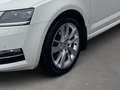 Skoda Octavia Combi Style 1.5 TSI Navi,Kamera,Klima,SHZ Weiß - thumbnail 6