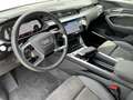 Audi e-tron 50 quattro advanced Beige - thumbnail 13