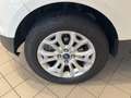Ford EcoSport 1.0 EcoBoost 125 CV Business Weiß - thumbnail 9