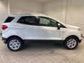 Ford EcoSport 1.0 EcoBoost 125 CV Business Weiß - thumbnail 6