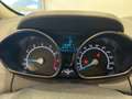 Ford EcoSport 1.0 EcoBoost 125 CV Business Weiß - thumbnail 13