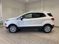 Ford EcoSport 1.0 EcoBoost 125 CV Business Weiß - thumbnail 5