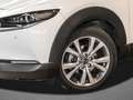 Mazda CX-30 2.5 Aut. Centre-Line NAVI SHZ NAVI 18ZOLL Weiß - thumbnail 8