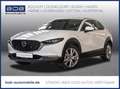 Mazda CX-30 2.5 Aut. Centre-Line NAVI SHZ NAVI 18ZOLL Weiß - thumbnail 1