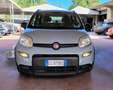 Fiat Panda Panda 1.0 FireFly S&S Hybrid Gris - thumbnail 14