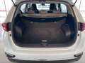 Kia Sportage 1.6 crdi mhev Business Class 2wd 136cv dct Blanc - thumbnail 9