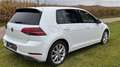 Volkswagen Golf Golf VII r-Line 1,0 TSI Weiß - thumbnail 3