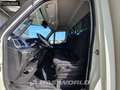 Iveco 35C16 Automaat Bakwagen Achterdeuren Airco Cruise Alb - thumbnail 12