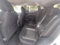 Nissan Qashqai 1.3 DIG-T 140 CV N-Connecta TETTO NAVI Bianco - thumbnail 11