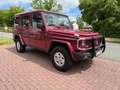 Mercedes-Benz G 300 (GE) Leder HU AU 02/2026 AHK Bullenfänger Rouge - thumbnail 7