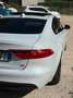 Jaguar XF 2.0 D 180 CV R-Sport Wit - thumbnail 6