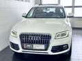 Audi Q5 3.0 TFSI quattro Sportpaket Leder+Pano+ACC+Xenon Weiß - thumbnail 3