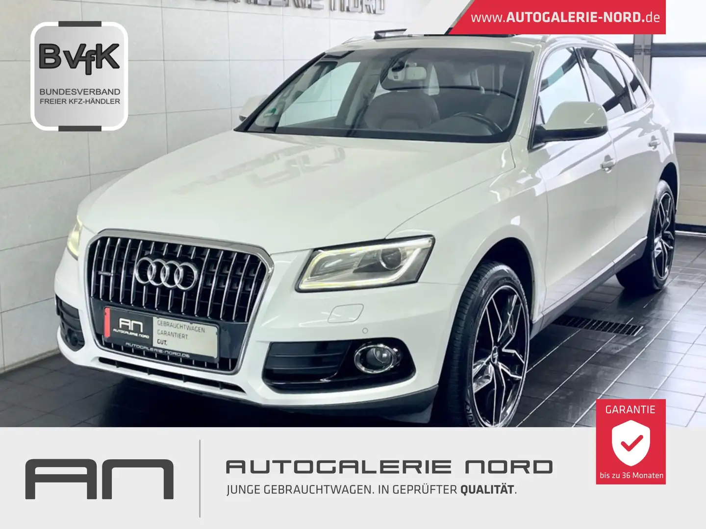 Audi Q5 3.0 TFSI quattro Sportpaket Leder+Pano+ACC+Xenon Weiß - 1