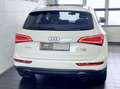 Audi Q5 3.0 TFSI quattro Sportpaket Leder+Pano+ACC+Xenon Weiß - thumbnail 7