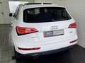 Audi Q5 3.0 TFSI quattro Sportpaket Leder+Pano+ACC+Xenon Weiß - thumbnail 9