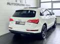 Audi Q5 3.0 TFSI quattro Sportpaket Leder+Pano+ACC+Xenon Weiß - thumbnail 6