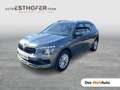 Skoda Kamiq Selection TSI Grau - thumbnail 1