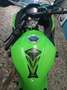 Kawasaki Ninja 300 EX Verde - thumbnail 4
