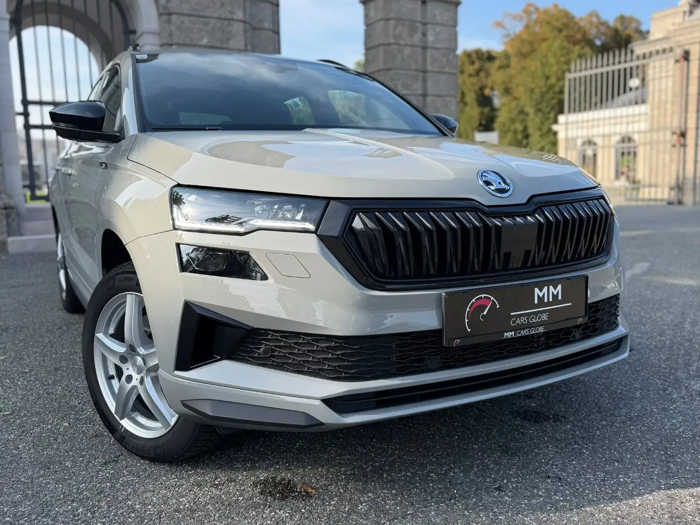Skoda Karoq 2.0 TDI Sportline 4x4 Sport Line Grau - 1