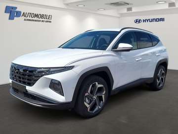 1.6 T-GDi PHEV 4WD Assis. PRIME