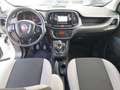 Fiat Doblo L2H1 MultiJet 105 Executive Blanc - thumbnail 4