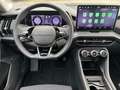 Skoda Kodiaq Selection TSI mHEV DSG Grau - thumbnail 14