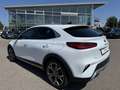 Kia XCeed PLATINUM EDITION/PANO/DAB/SOUND JBL/1.HAND Weiß - thumbnail 3