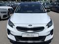 Kia XCeed PLATINUM EDITION/PANO/DAB/SOUND JBL/1.HAND Weiß - thumbnail 6